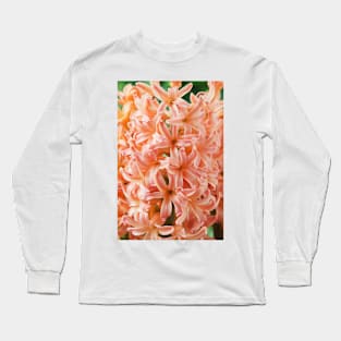 Hyacinthus orientalis  &#39;Gipsy Queen&#39;  Hyacinth Long Sleeve T-Shirt